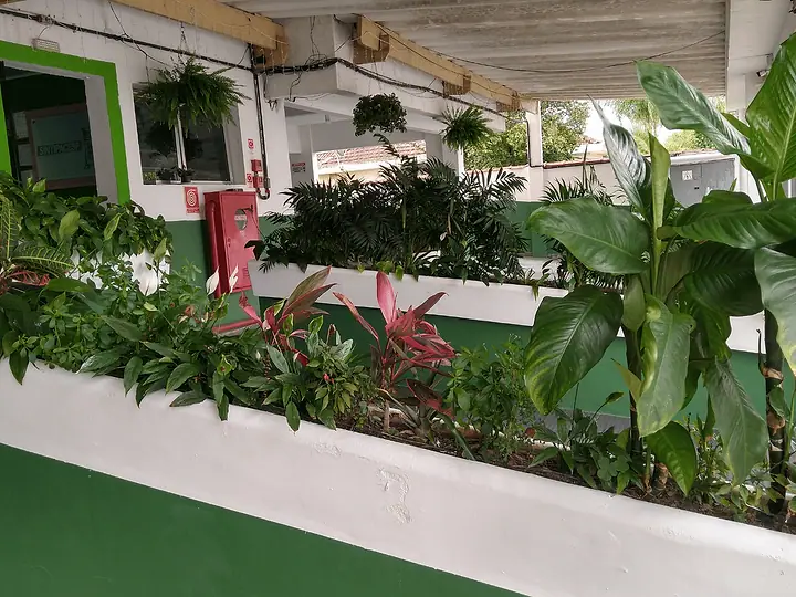 Jardim de entrada com plantas tropicais, ao lado da garagem coberta